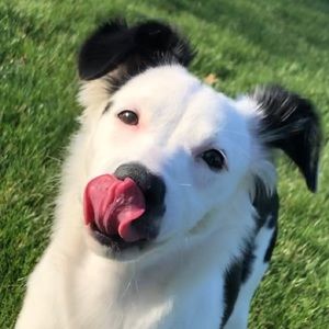 Meet your Posher, Jess